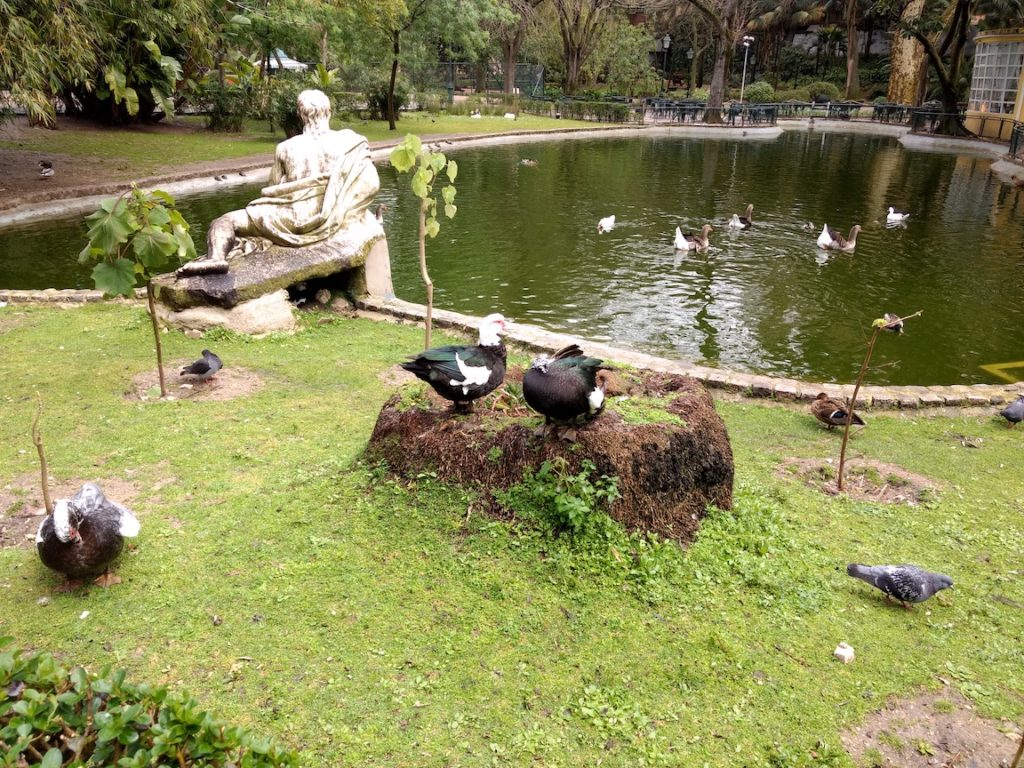 Lissabon Park Estrela