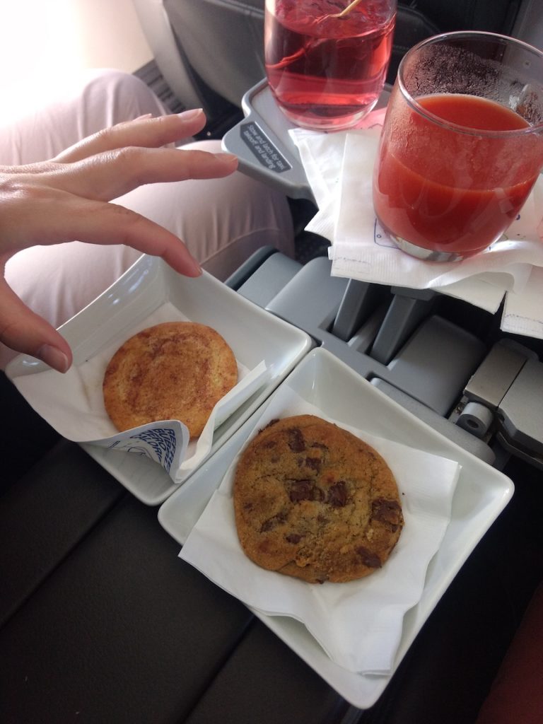 American Airlines First Class Cookie