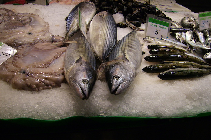 Barcelona Mercat de la Boqueria Fisch