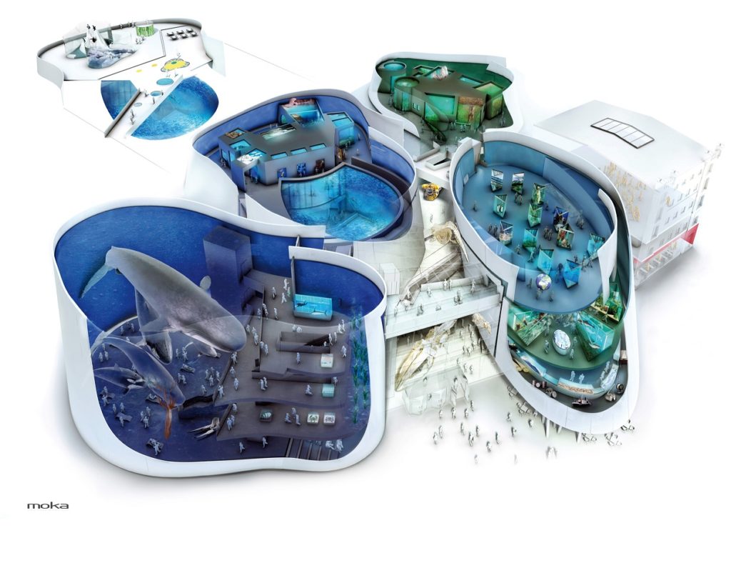 Ozeaneum und Meeresmuseum Stralsund