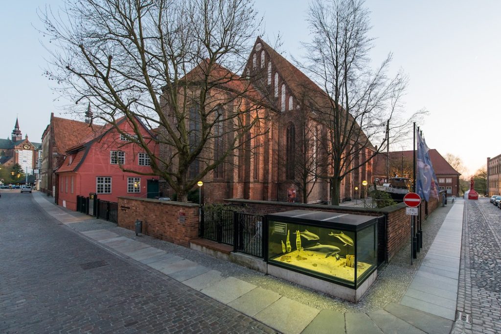 Meeresmuseum Stralsund Kloster