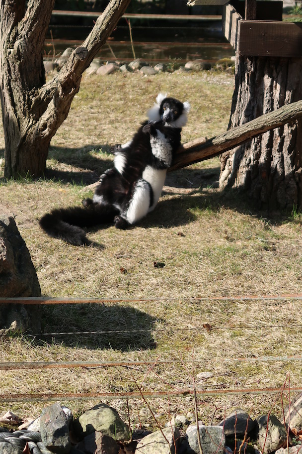 zoo eberswalde