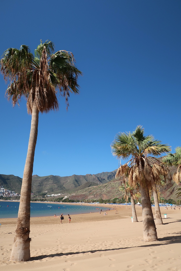 Playa de las Teresitas Schönster Strand auf Teneriffa
